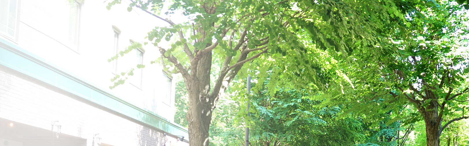 院長・スタッフ紹介